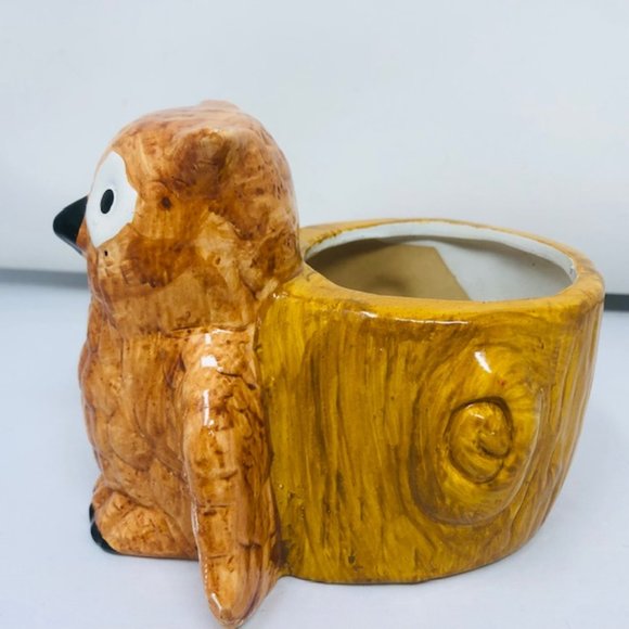 Mini Golden Brown Owl/Owlet Planter - Root Cuttings - Houseplants - Picture 4 of 8